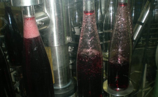 Abfüllung Weinlese 2018