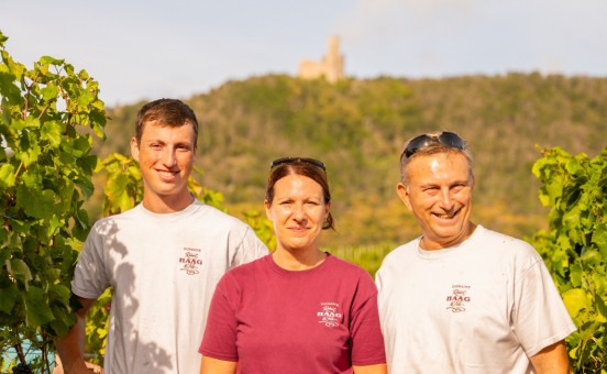 Les vignes : une histoire de famille