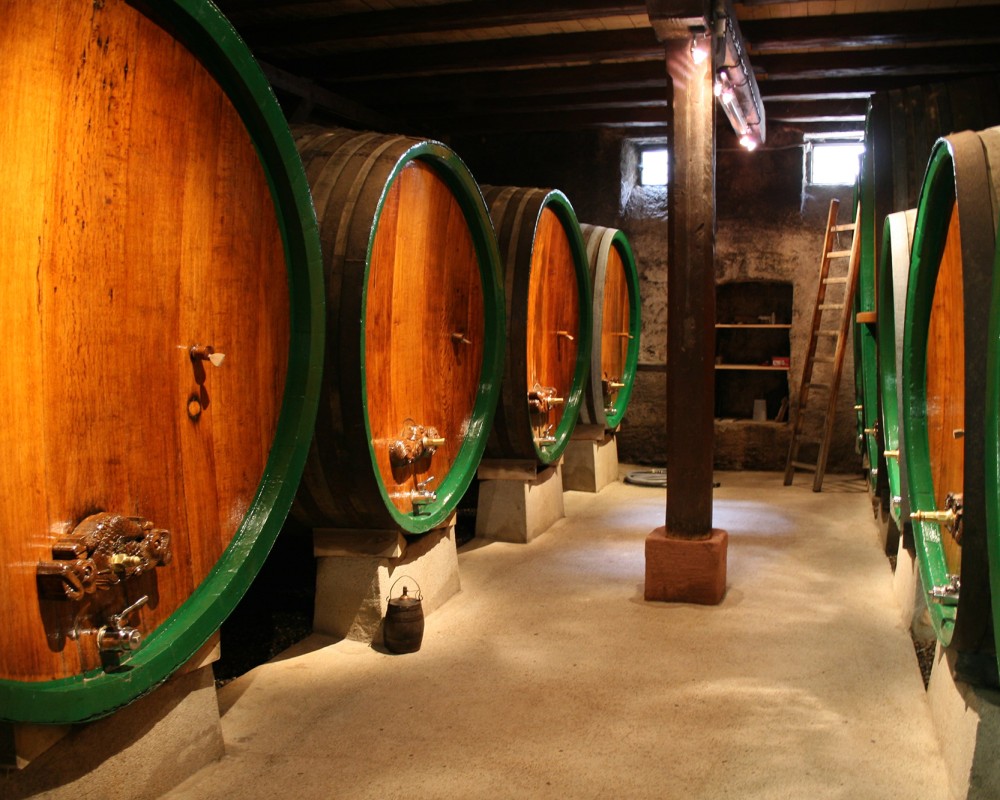 The cellar