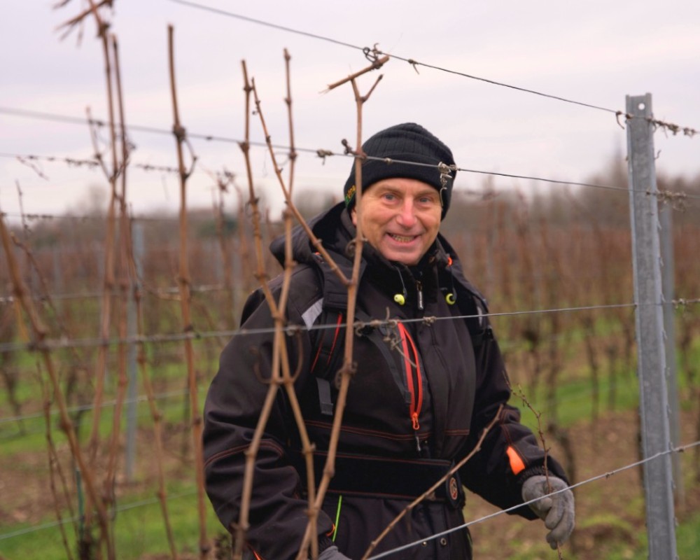La taille de mi-novembre à janvier