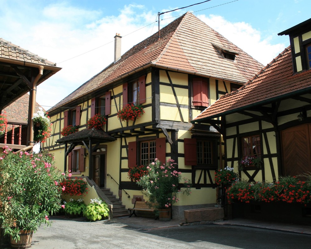 The cellar