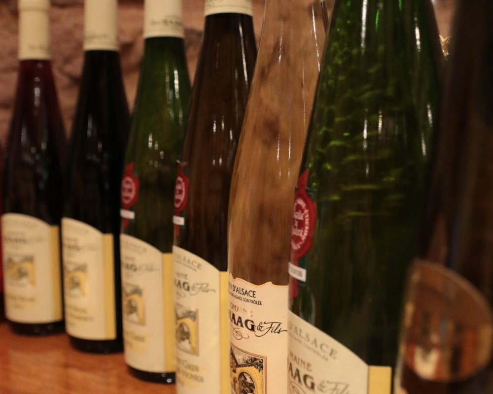 The cellar