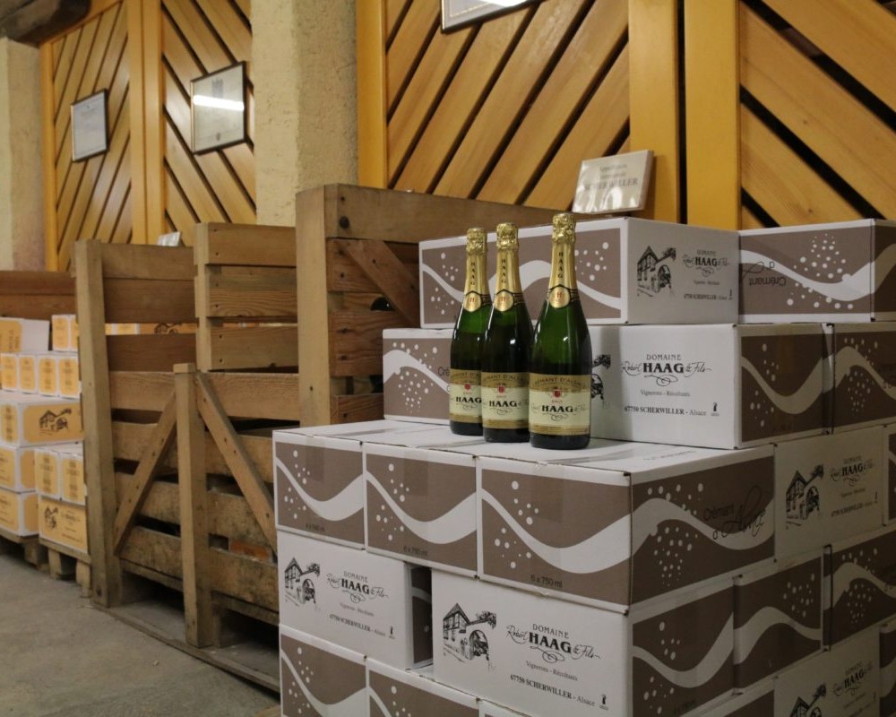 The cellar