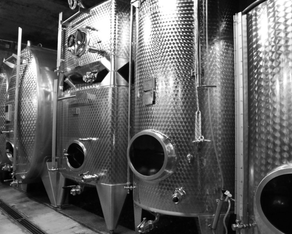 The cellar