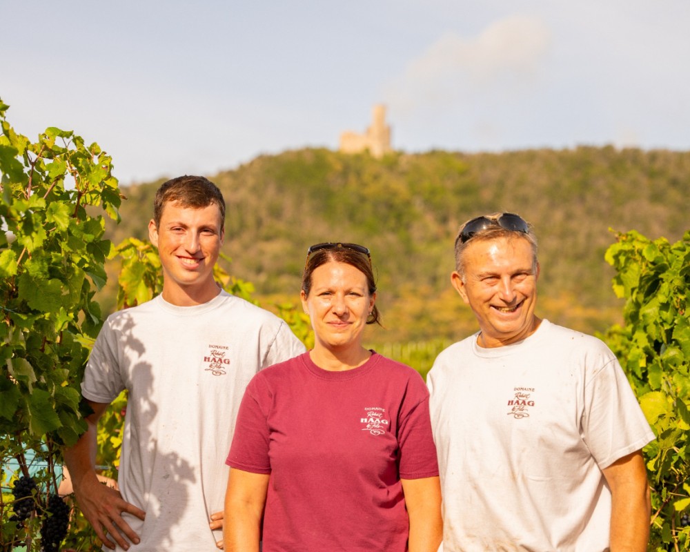 Les vignes : une histoire de famille